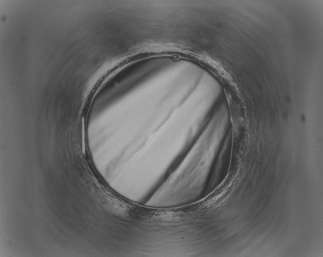 X0000077311175200611031633