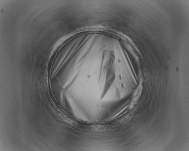 X0000077311176200611031633