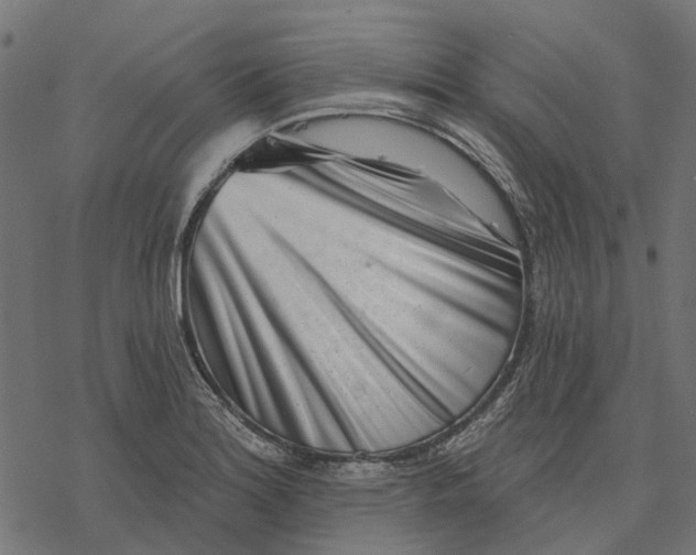 X0000077311180200611031633
