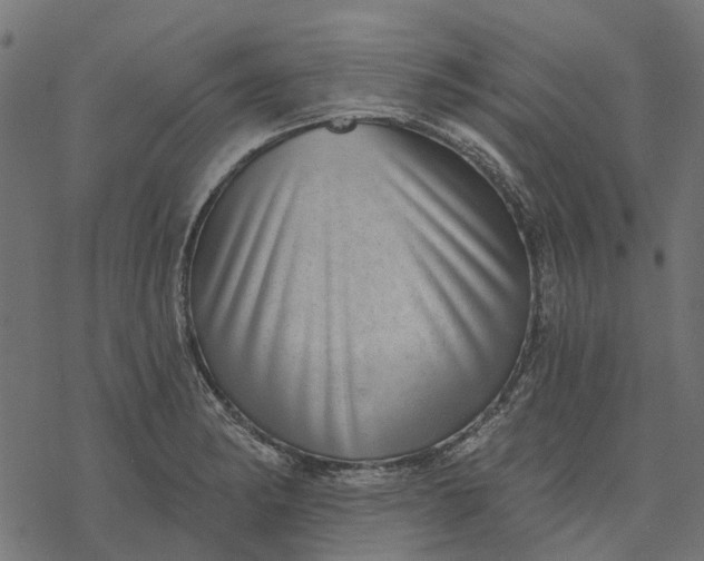 X0000077311182200611031633