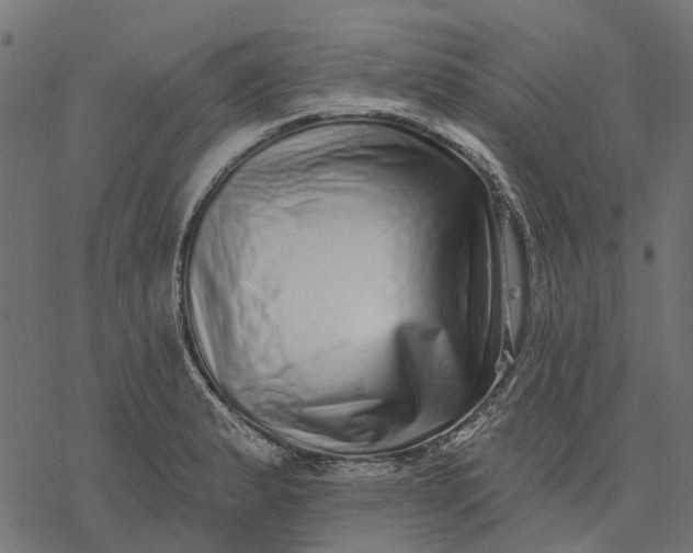 X0000077311183200611031633