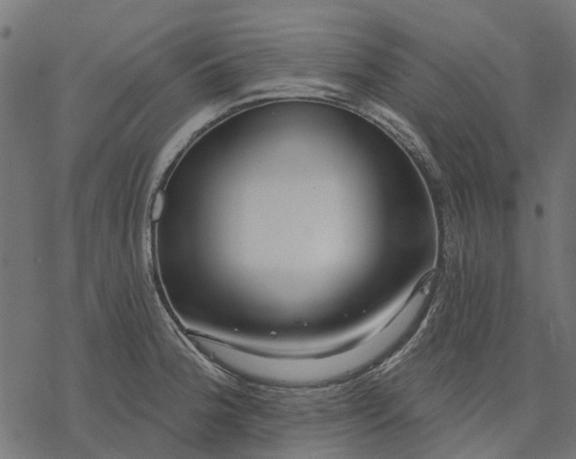 X0000077311188200611031633