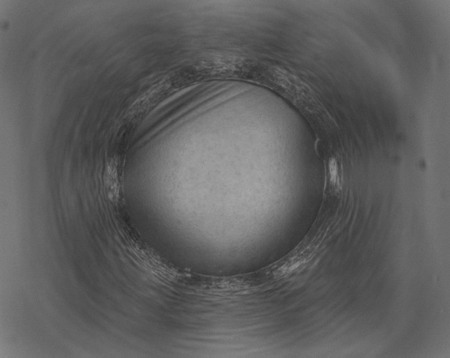 X0000077311203200611031632