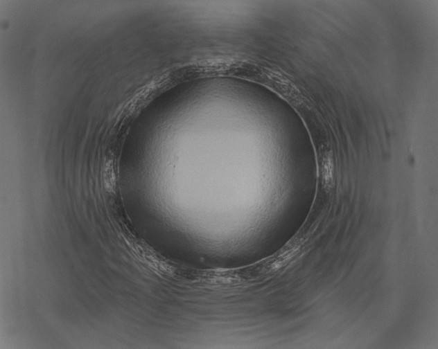 X0000077311204200611031632