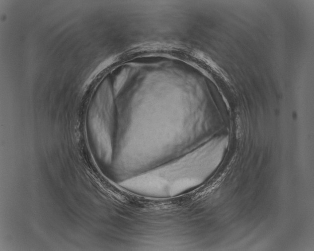 X0000077311213200611031632
