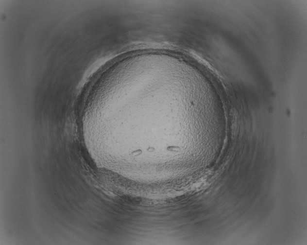 X0000077311215200611031632