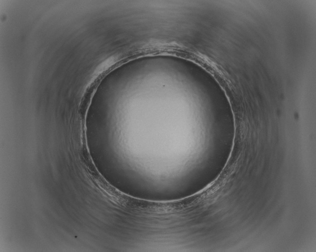 X0000077311219200611031632