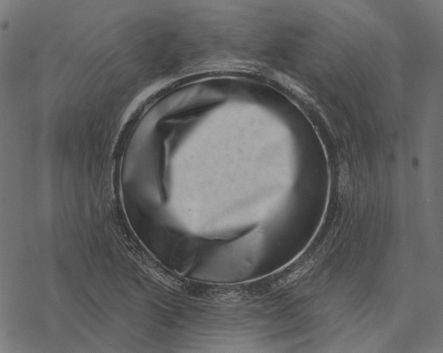 X0000077311222200611031632