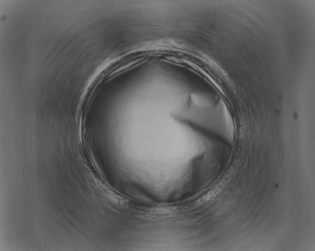 X0000077311224200611031632