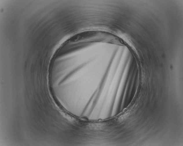X0000077311237200611031632