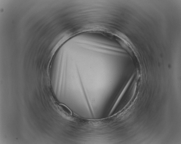 X0000077311242200611031632