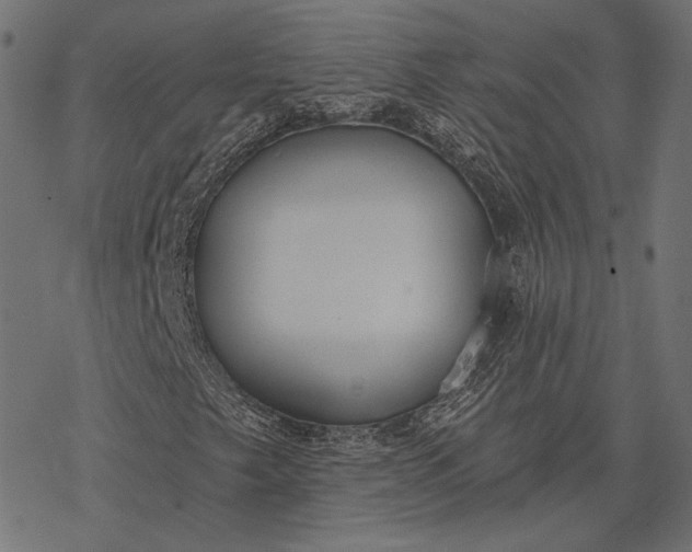 X0000077311249200611031632