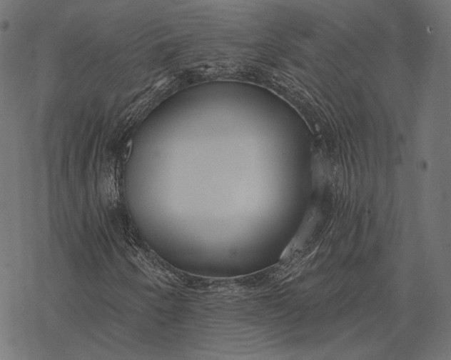 X0000077311250200611031632