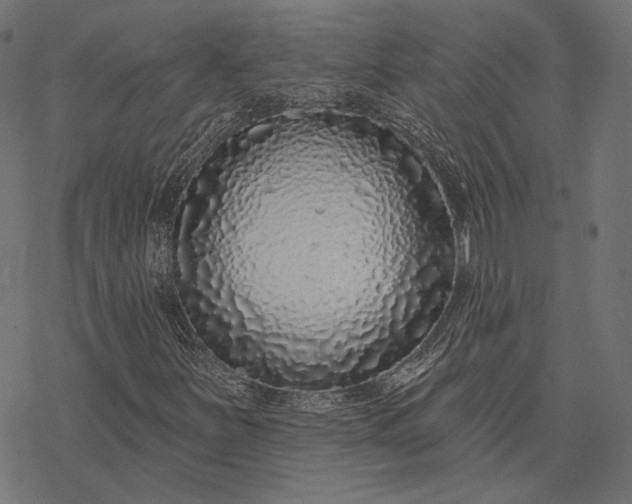 X0000077311251200611031632