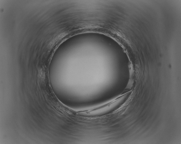 X0000077311257200611031632