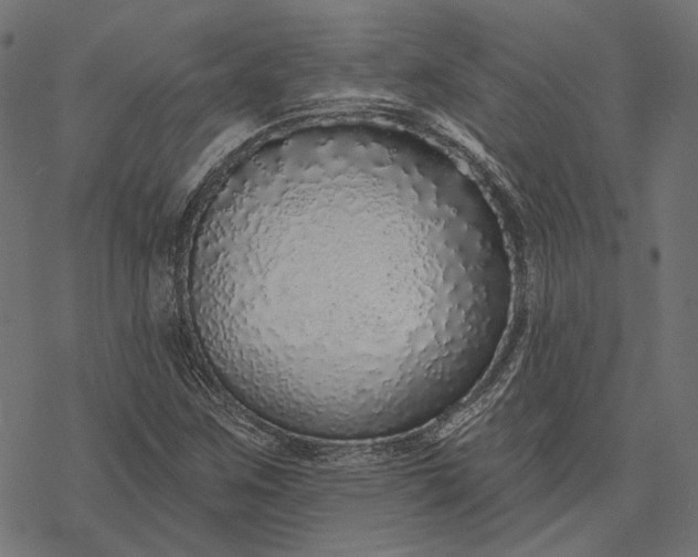 X0000077311259200611031631