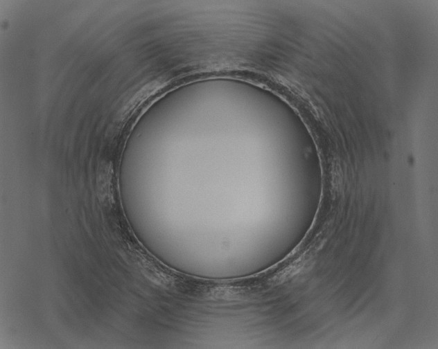 X0000077311265200611031631