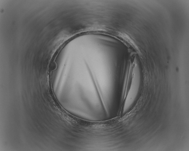 X0000077311268200611031631
