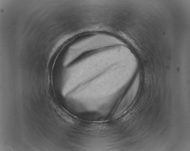 X0000077311270200611031631