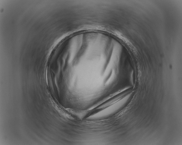 X0000077311272200611031631