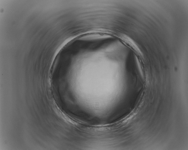 X0000077311292200611031631