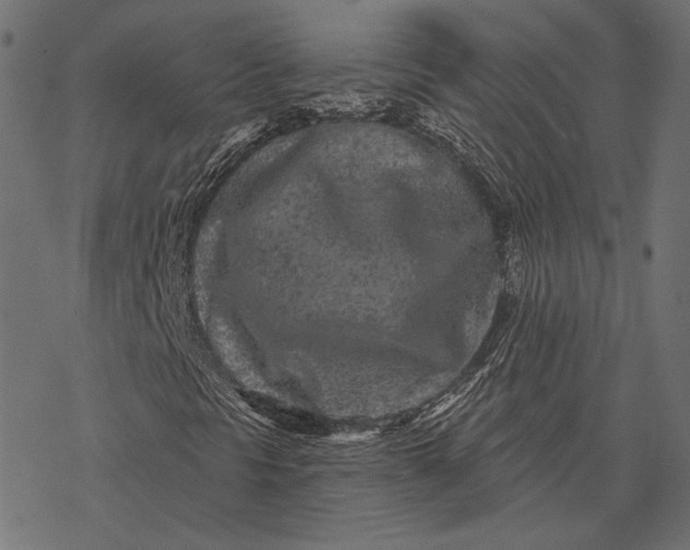 X0000077311297200611031630