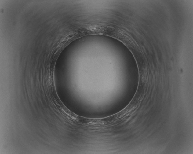 X0000077311298200611031630