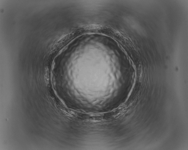 X0000077311301200611031630