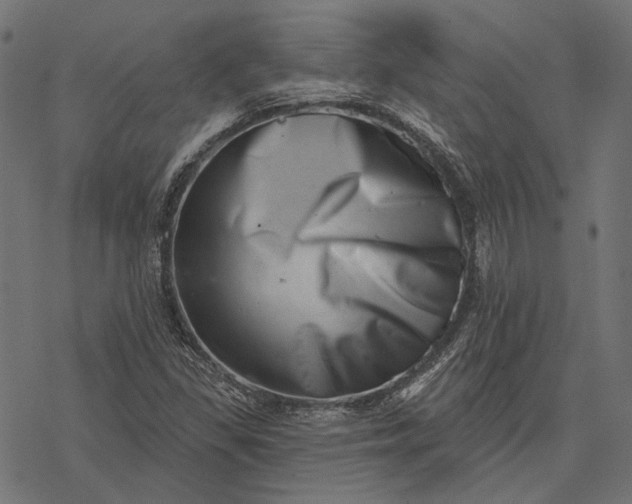 X0000077311309200611031630
