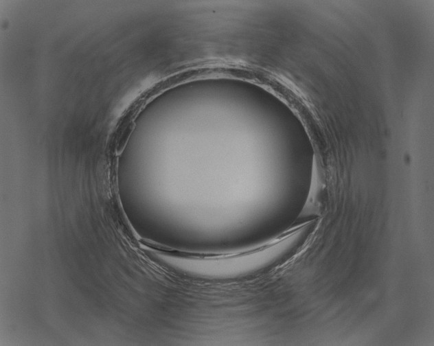 X0000077311310200611031630
