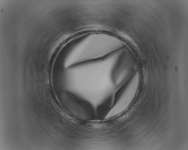 X0000077311318200611031630