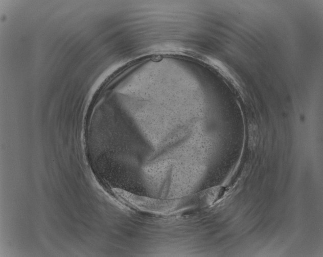 X0000077311331200611031631