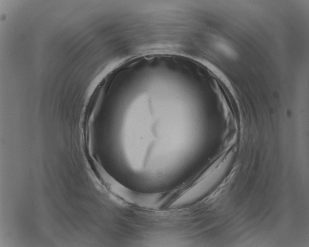 X0000077311341200611031631