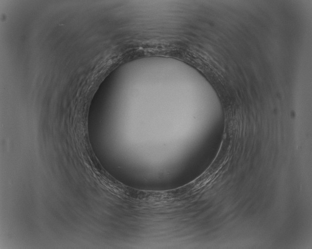 X0000077311345200611031630