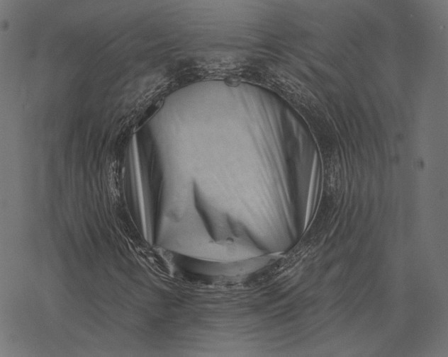 X0000077311346200611031630