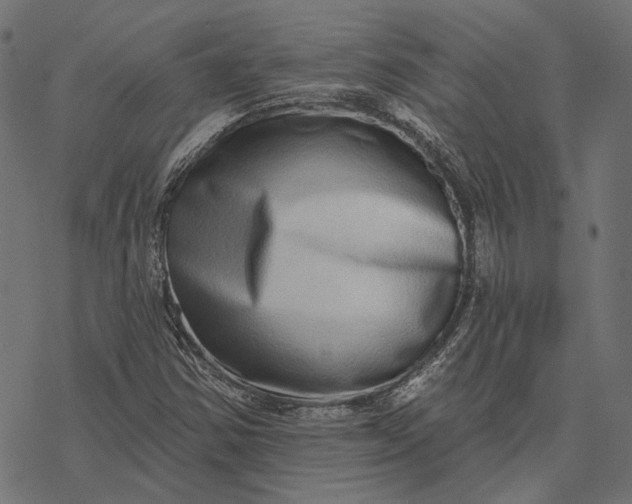 X0000077311354200611031630