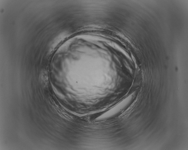X0000077311355200611031630