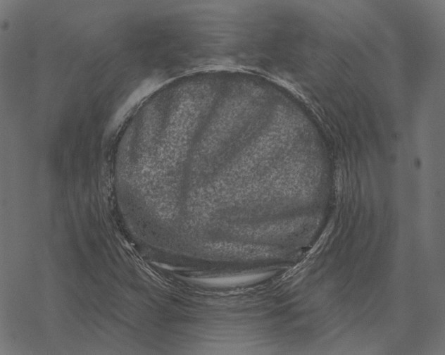 X0000077311359200611031630