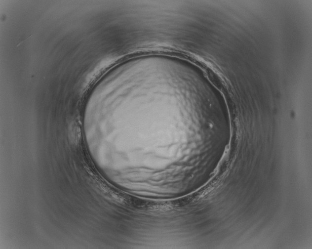 X0000077311363200611031630