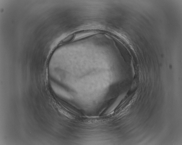X0000077311366200611031630