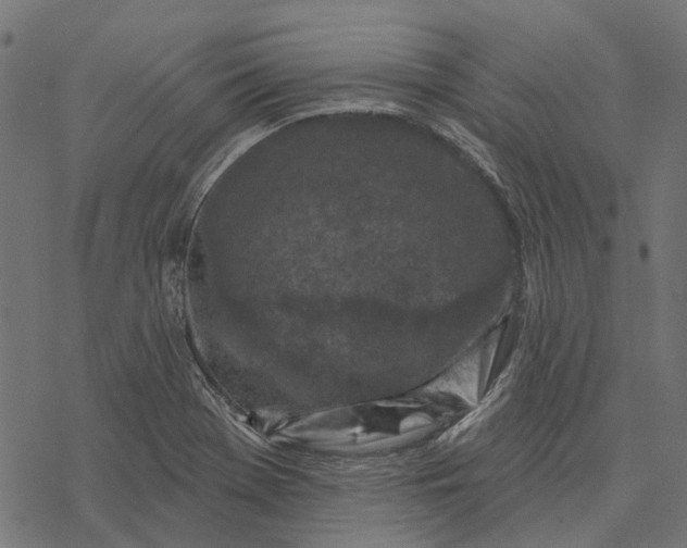 X0000077311369200611031630