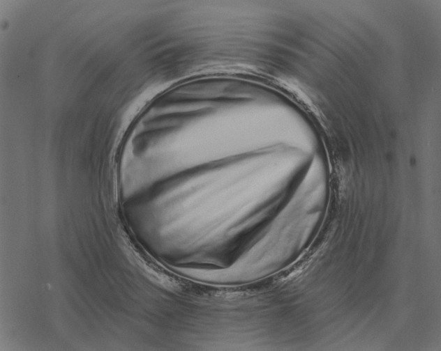 X0000077311371200611031630