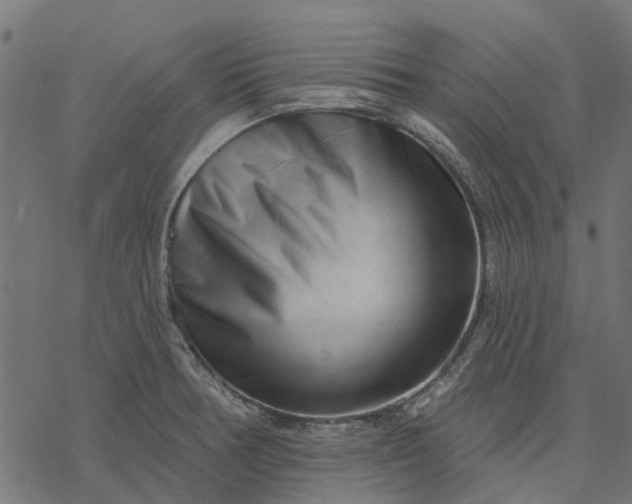 X0000077311378200611031630