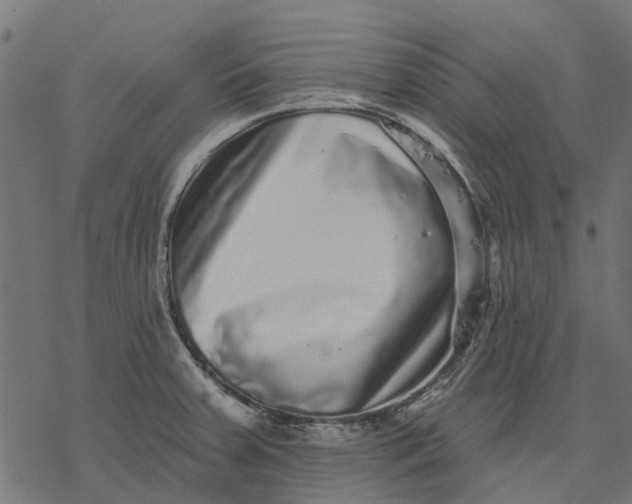 X0000077311379200611031630
