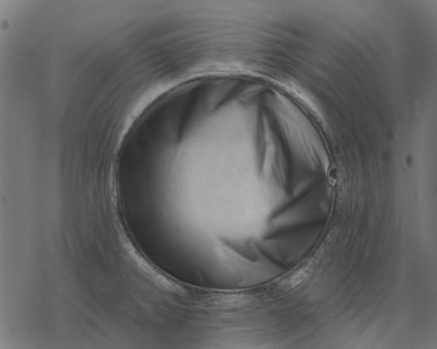 X0000077311382200611031629