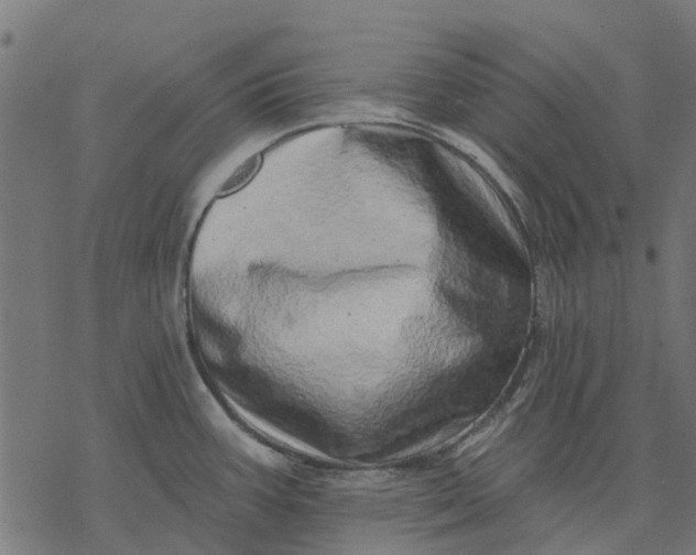 X0000077311387200611031629