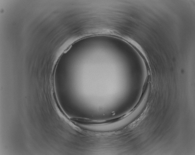 X0000077311389200611031629