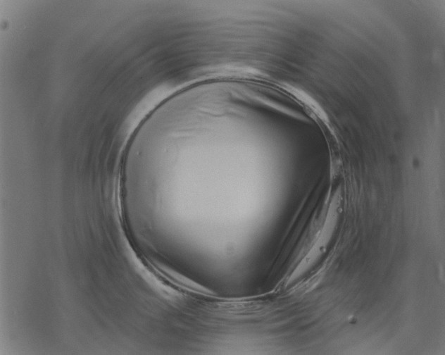 X0000077311391200611031629