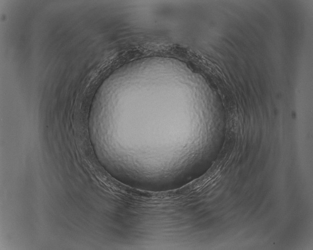 X0000077311393200611031629