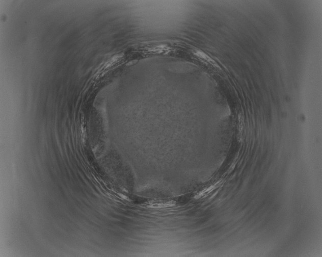 X0000077311394200611031629